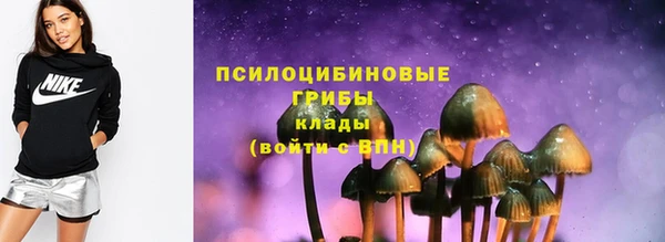 герыч Няндома
