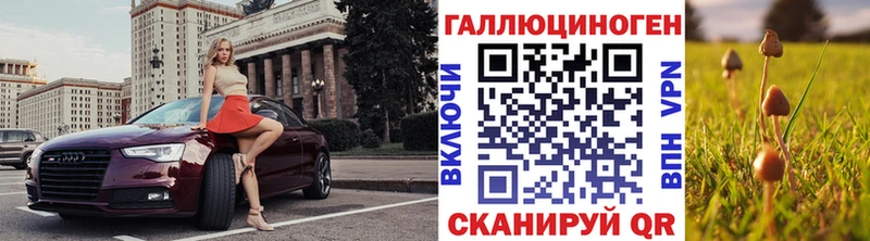ссылка на мегу сайт Майский Галлюциногенные грибы Psilocybe