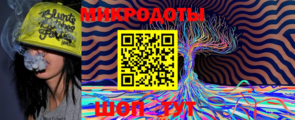 Псилоцибиновые грибы Psilocybine cubensis Майский
